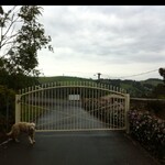 Powderecoated steel gate
